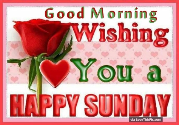 Happy Sunday - Good Morning-wg11423