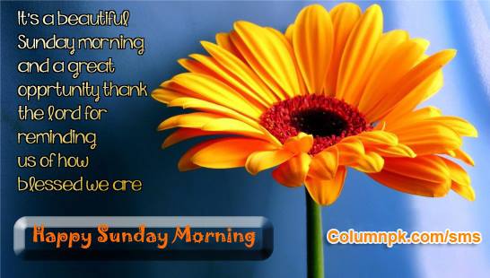 Happy Sunday Morning - It's A Sunday-wg16315