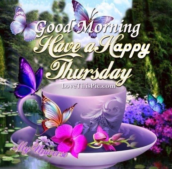 Happy Thursday Good Morning-wg11427