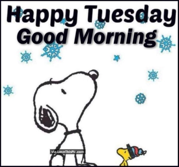 Happy Tuesday -  Good Morning-wg023200