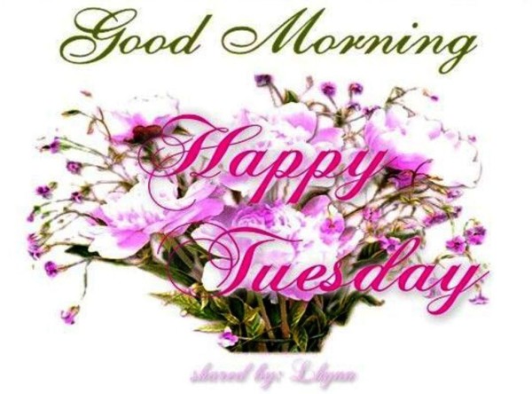 Happy Tuesday - Good Morning-wg023202