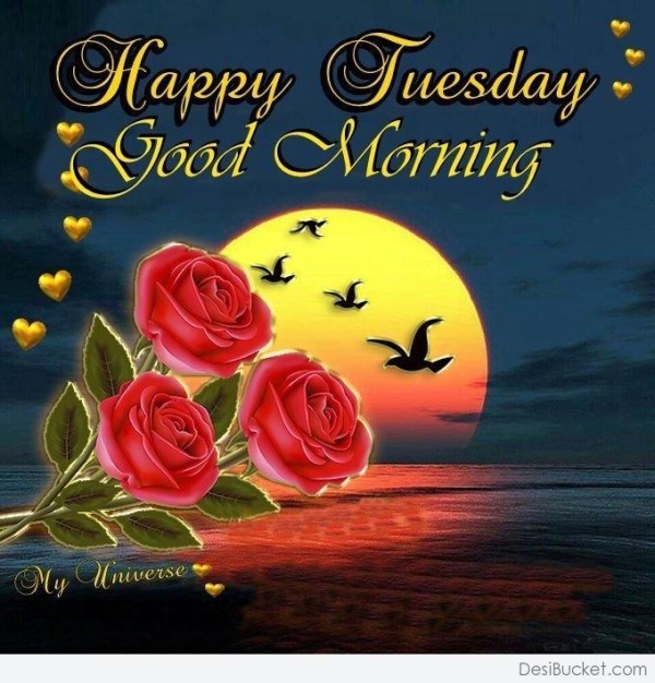 Happy Tuesday Morning !-wg16323