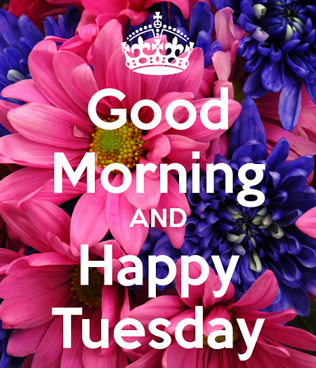 Happy Tuesday-wg16325