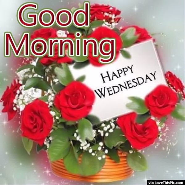 Happy Wednesday  - Good Morning-wg11431