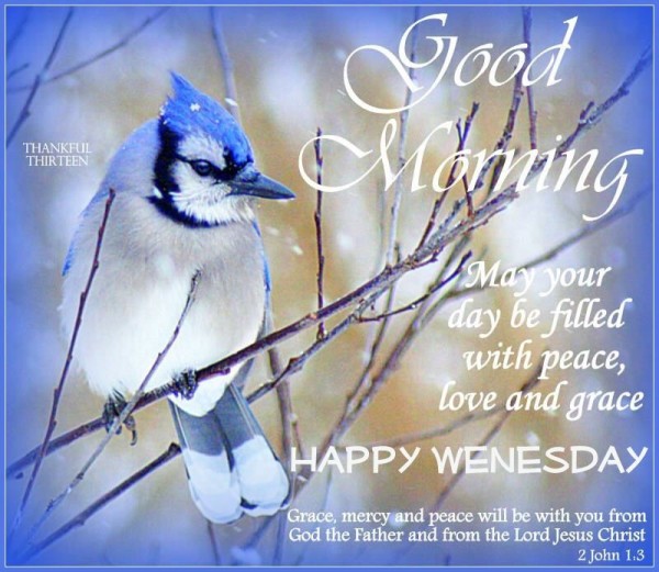 Happy Wednesday - May Your Day Be Filled With Peace-wg140349