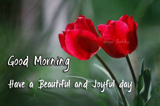 Have A Beautiful And Joyful Day-wg11434