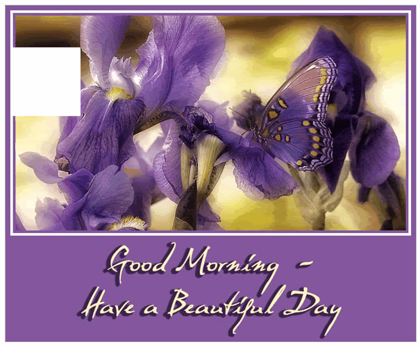 Have A Beautiful Day - Good Morning !-wg0180806