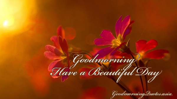 Have A Beautiful Day - Good Morning-wg16338