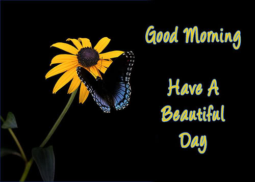 Have A Beautiful Day-wg0180809