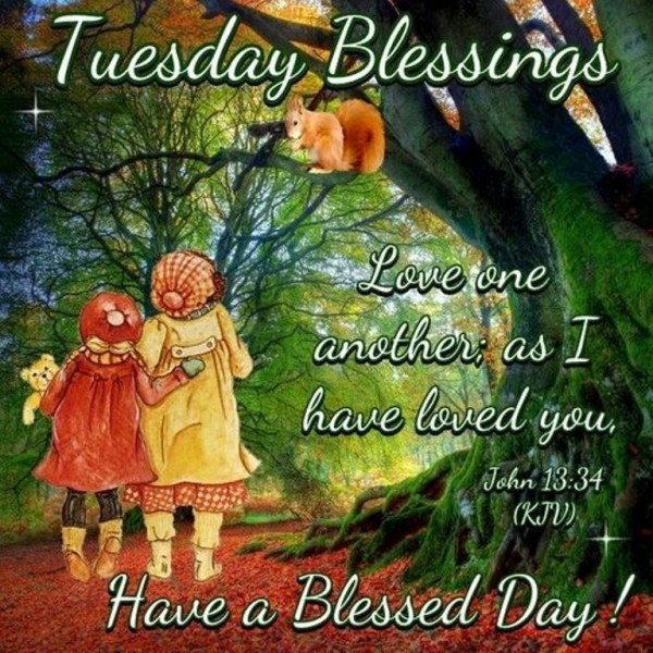 Have A Blessed Tuesday Day  - Good Morning-wg034296