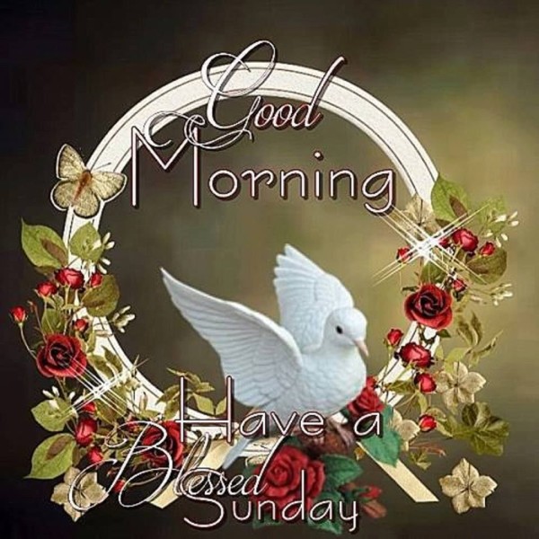 Have A Blessed Sunday - Good Morning-wg11663