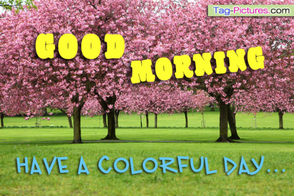 Have A Colorful Day - Good Morning-wg16347