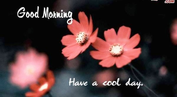Have A Cool Day - Good Morning-wg023206