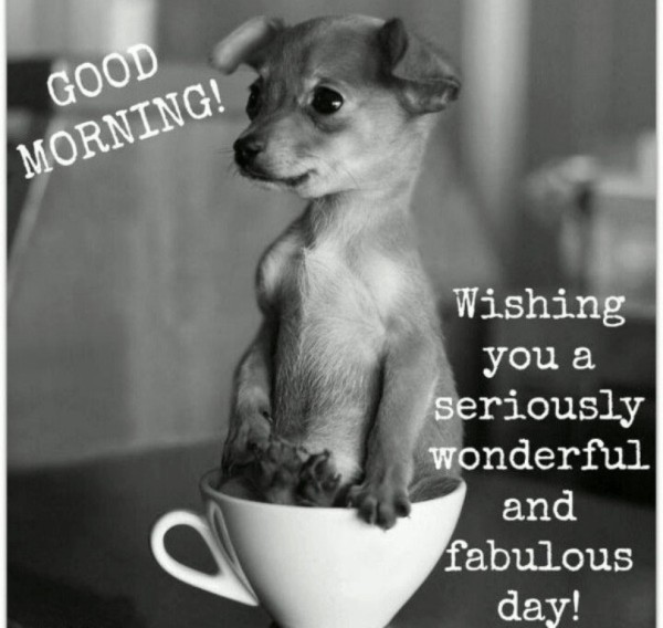 Have A Fabulous Day - Good Morning-wg034300