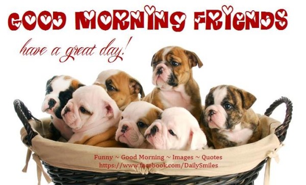 Have A Great Day Friends - Dogs-wg16360