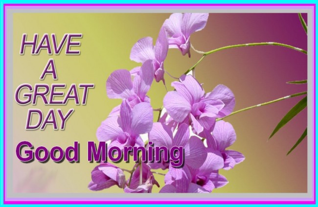 Have A Great Day – Good Morning