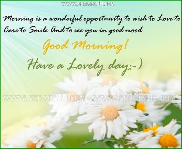 Have A Lovely Day - Good Morning-wg034311