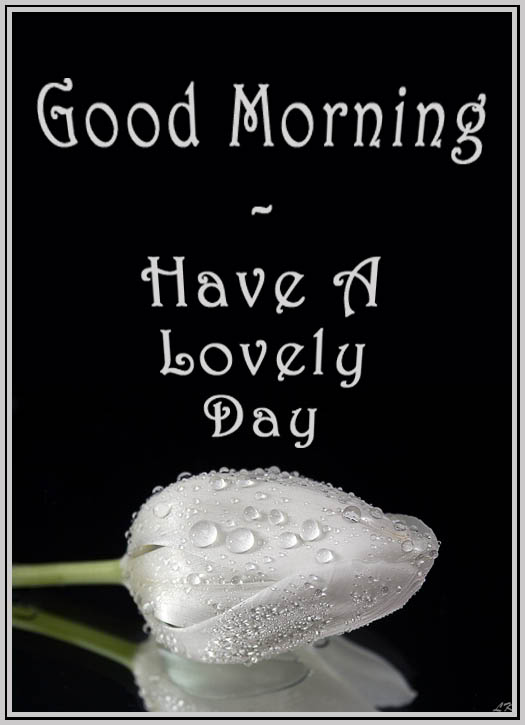 Have A Lovely Day !-wg0180829