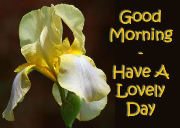 Have A Lovely Day-wg0180830