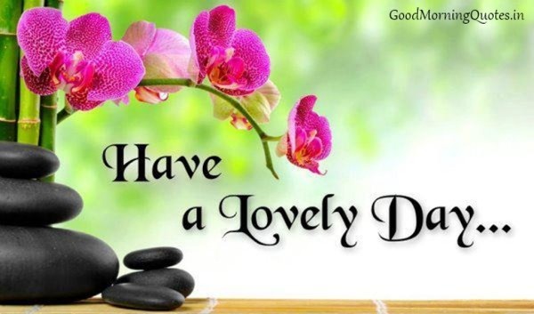 Have A Lovely Day To All