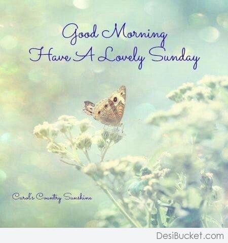 Have A Lovely Sunday - Good Morning-wg16368