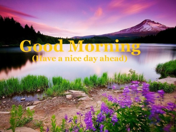 Good Morning Wishes Pictures, Images