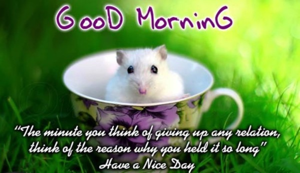 Have A Nice Day - Good Morning-wg023216