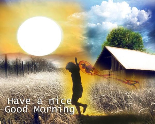 Have A Nice Day - Morning !-wg140371