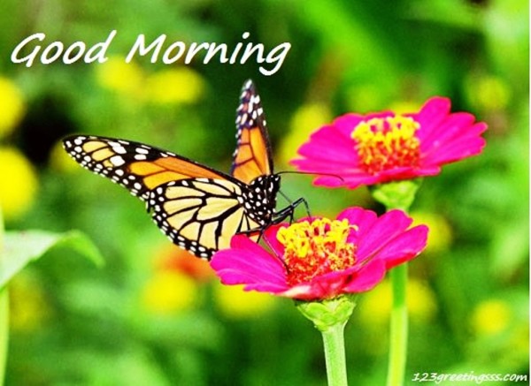 Have A Nice Day!-wg023219