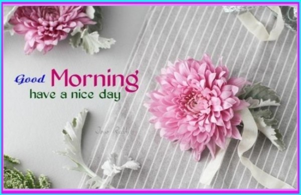 Have A Nice Day !!-wg16372