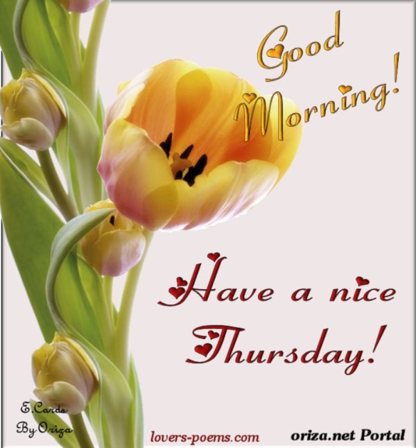 Have A Nice Thursday -Good morning-wg034318