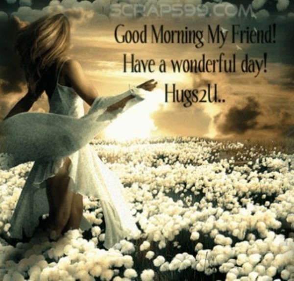 Have A Wonderful Day -  Good Morning-wg023227