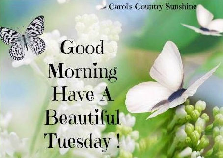 Have a Beautiful Day – Good Morning