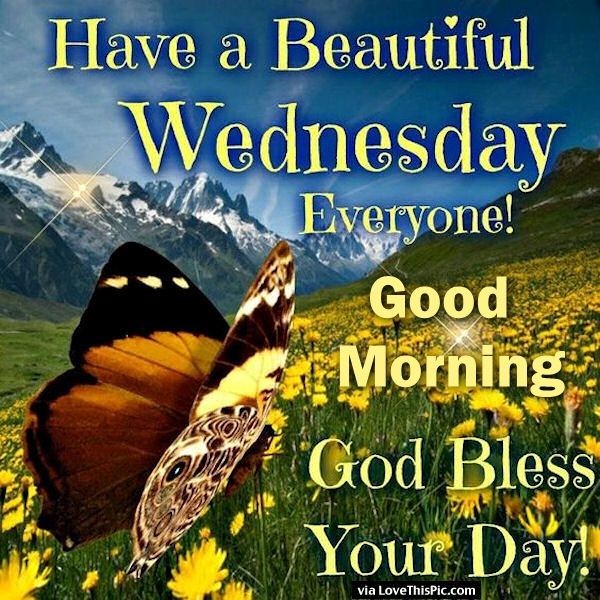 Have a Beautiful Wednesday-wg11436