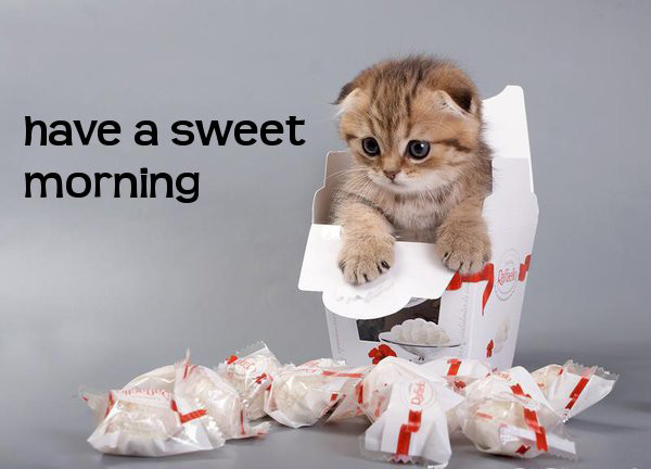 Have a Sweet Morning-wg034134