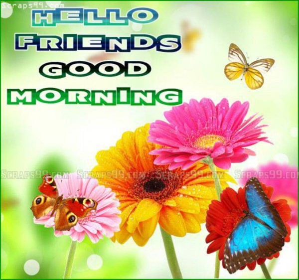 Hello Good Morning Friends