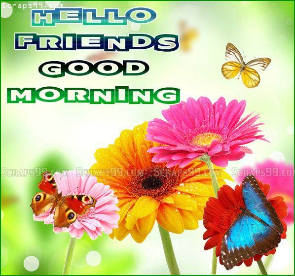 Hello Friends Good Morning-wg140385