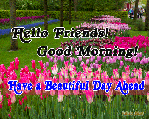 Hello Friends - Good Morning-wg16384