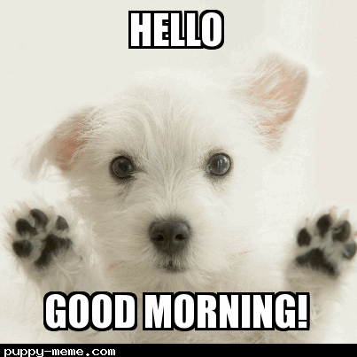 Hello - Good Morning-wg034142