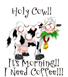Holy Cow - It's Morning-wg018269