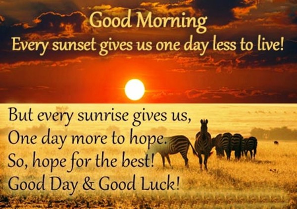 Hope For The Best Good Day - Good Morning-wg023237