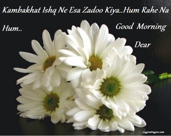 Hum Rahe Na Hum - Good Morning-wg16392