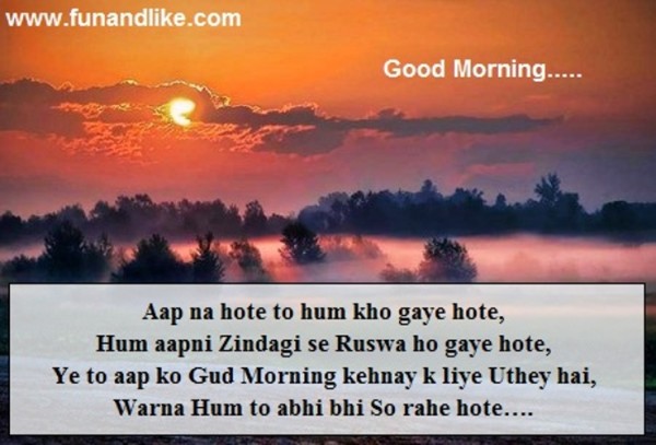Hum Aapni Zindagi Se Ruswa Ho Gaye Hote-wg034146