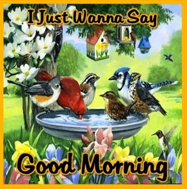 I Just Wanna Say - Good Morning-wg023241