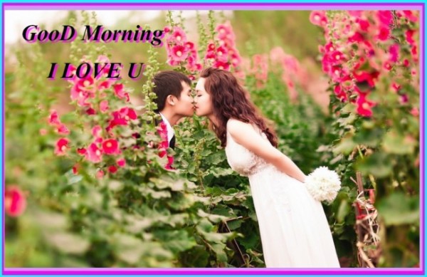 I Love You - Good Morning-wg140433