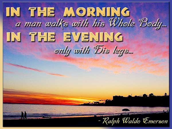 In The Morning A Man Walks With His Whole Body-wg140462