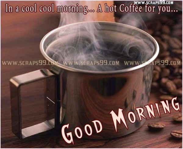 It's Cool Morning-  Good Morning-wg023258