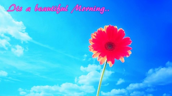 It's A Beautiful Flower- Good Morning-wg023261