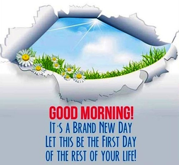 It's A Brand New Day - Good Morning-wg023262