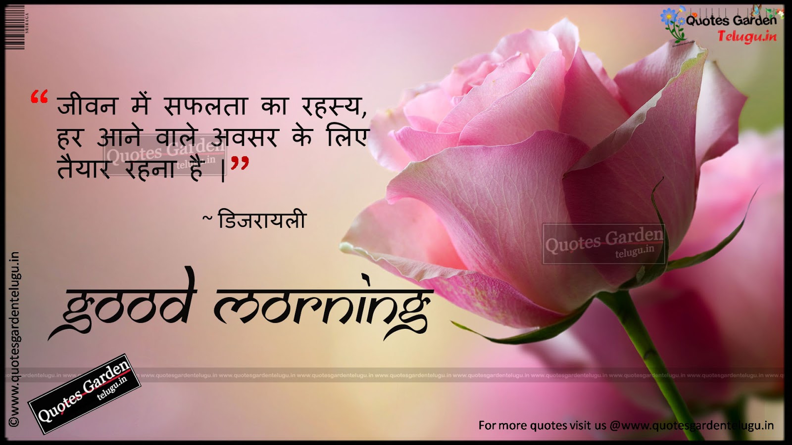 Best 50+ Good Morning Msg With Rose In Hindi - allwhisen